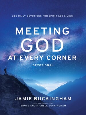 cover image of Meeting God At Every Corner